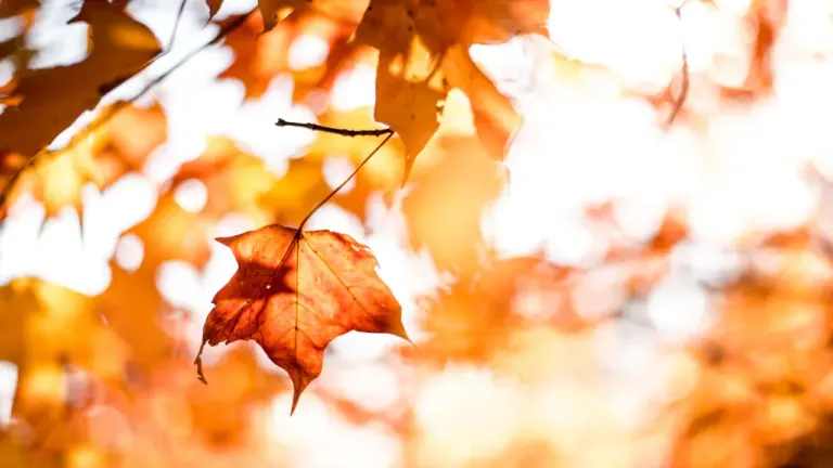 Heizkosten im Herbst prüfen: Diese Unterlagen helfen