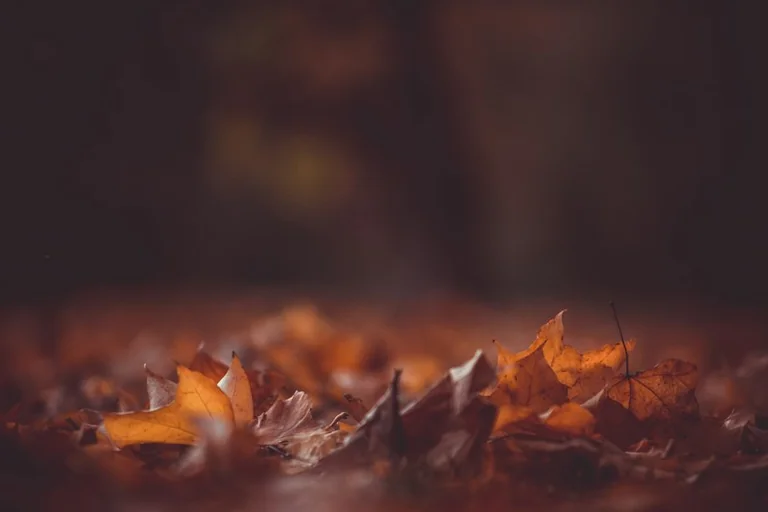 Heizkosten im Herbst prüfen: Diese Unterlagen helfen